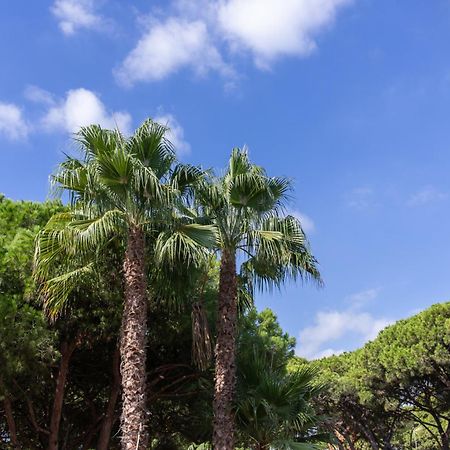 Aparthotel Las Palmeras カステルデフェルス エクステリア 写真